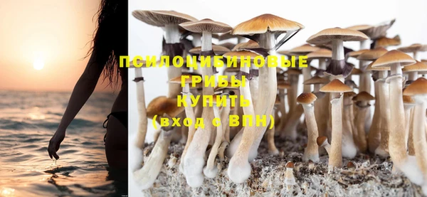 хмурый Кулебаки