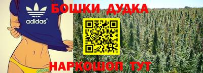 хмурый Дубна