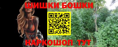хмурый Дубна