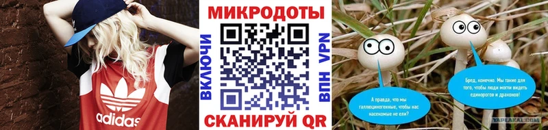 Галлюциногенные грибы ЛСД  цены наркотик  Петропавловск-Камчатский 