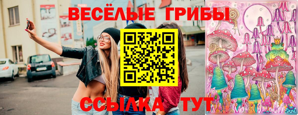 Псилоцибиновые грибы Cubensis Петропавловск-Камчатский